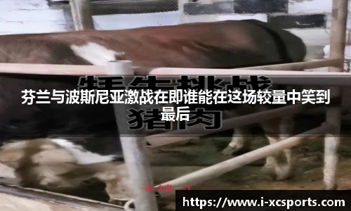 杏彩在线体育